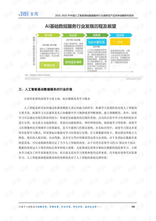 人工智能基礎數據服務與行業應用系統集成 2021-2025年調研與競爭戰略分析